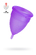 notify_thumb